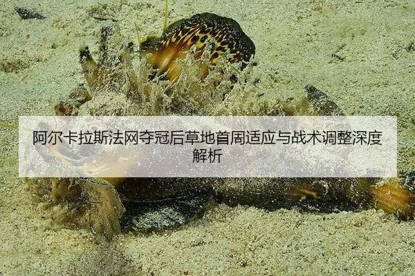 阿尔卡拉斯法网夺冠后草地首周适应与战术调整深度解析